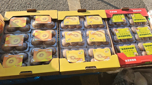 必一运动bsport体育