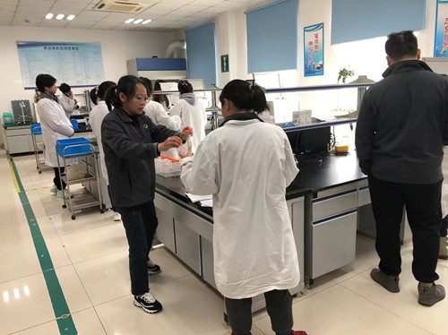 必一运动bsport体育