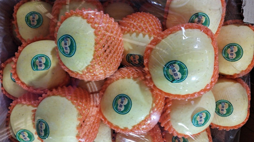 必一运动bsport体育