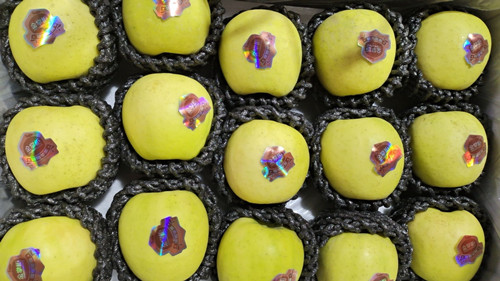 必一运动bsport体育