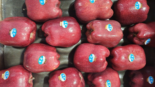 必一运动bsport体育