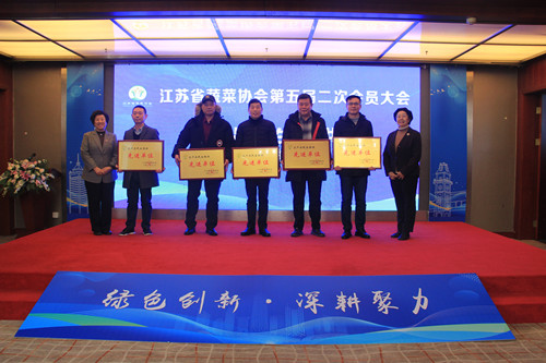 必一运动bsport体育