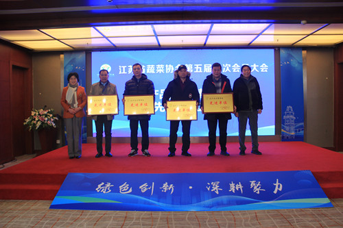 必一运动bsport体育