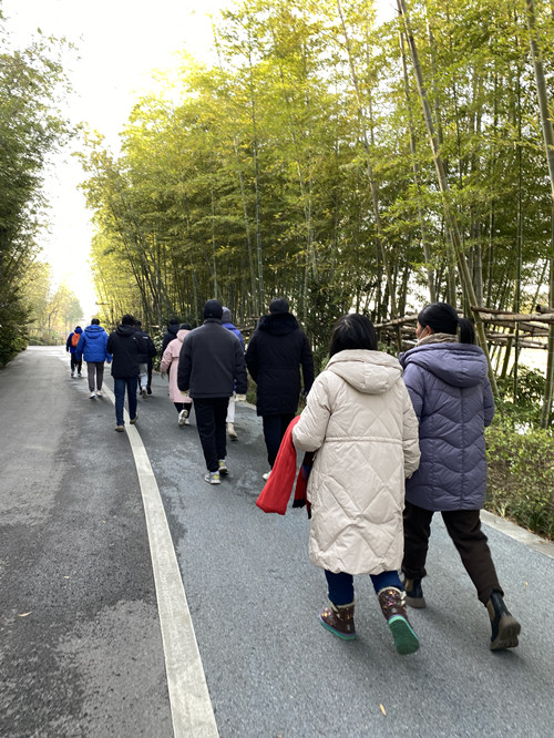 必一运动bsport体育