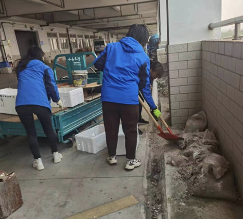 必一运动bsport体育