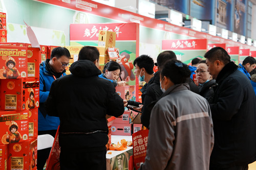 必一运动bsport体育