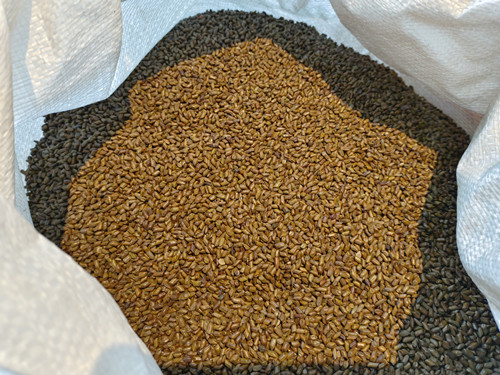 必一运动bsport体育