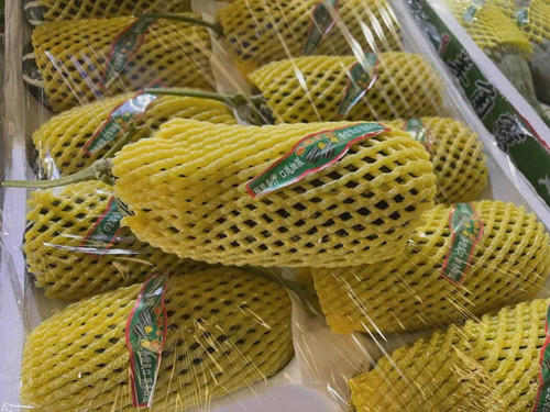 必一运动bsport体育