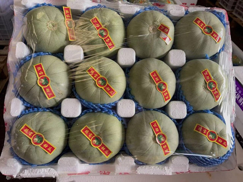 必一运动bsport体育