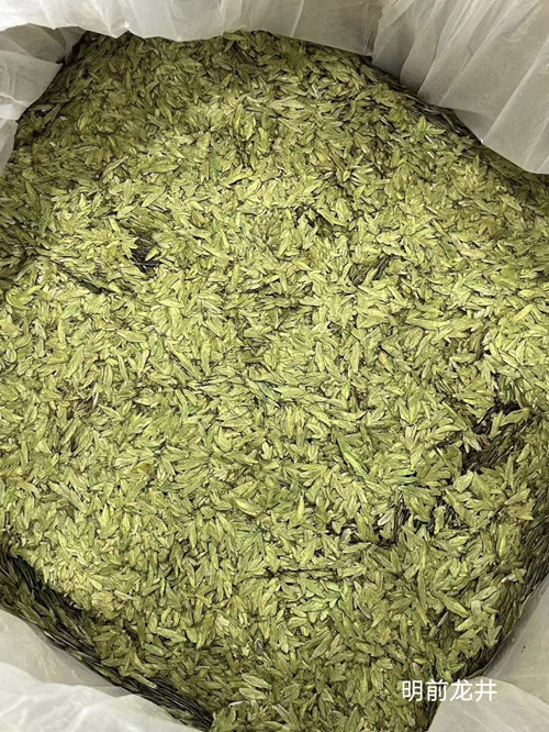 必一运动bsport体育