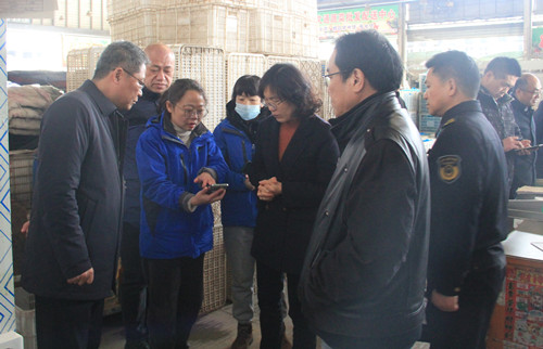 必一运动bsport体育