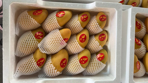 必一运动bsport体育