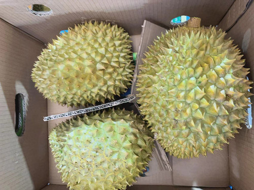 必一运动bsport体育