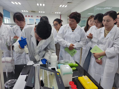 必一运动bsport体育