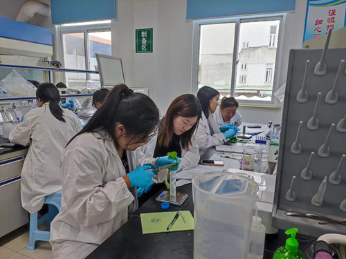 必一运动bsport体育