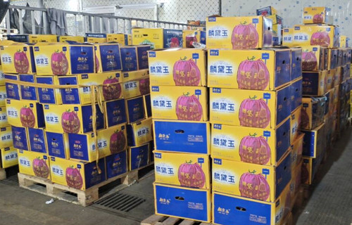 必一运动bsport体育