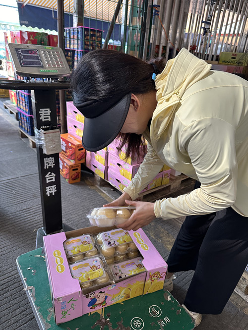 必一运动bsport体育