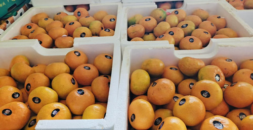 必一运动bsport体育