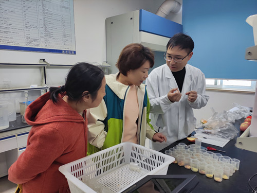 必一运动bsport体育