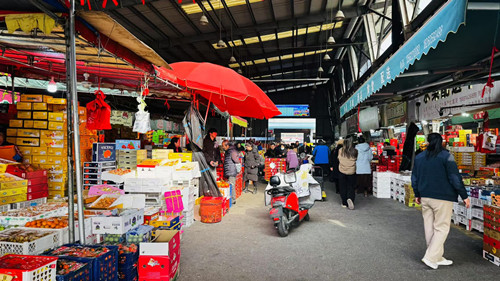 必一运动bsport体育