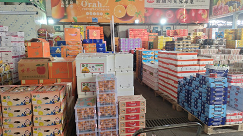 必一运动bsport体育