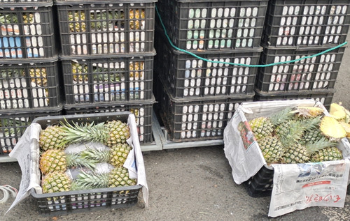 必一运动bsport体育