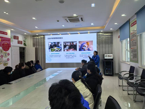 必一运动bsport体育