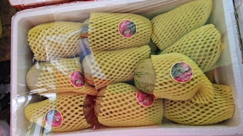 必一运动bsport体育