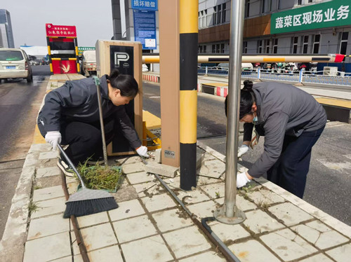 必一运动bsport体育