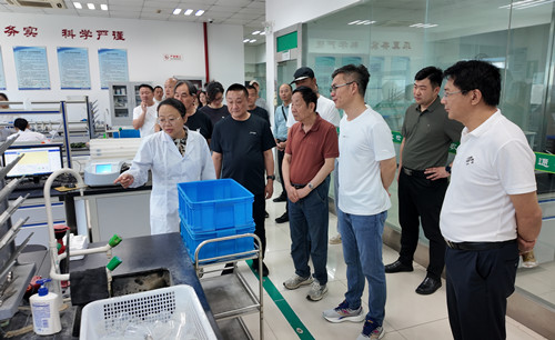 必一运动bsport体育