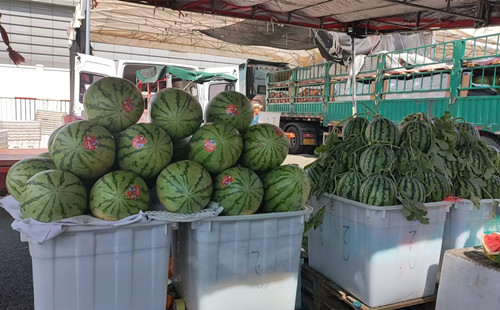 必一运动bsport体育