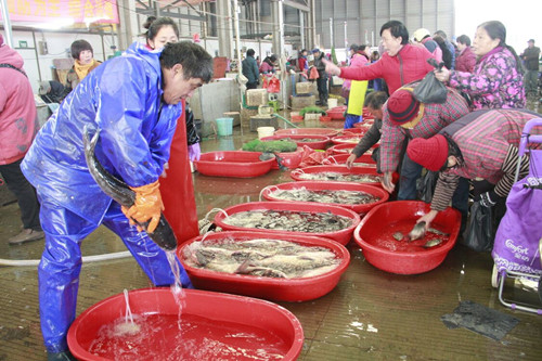 必一运动bsport体育