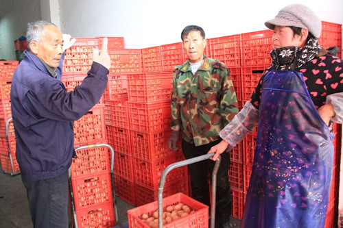 必一运动bsport体育