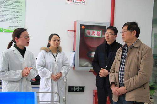 必一运动bsport体育