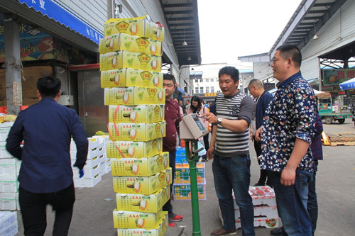 必一运动bsport体育