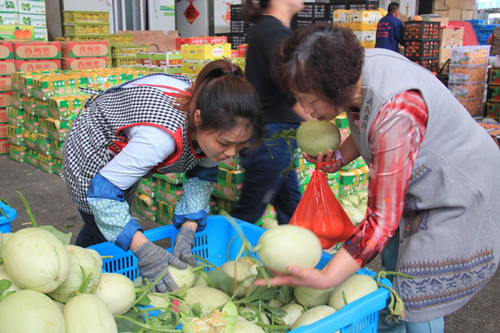 必一运动bsport体育