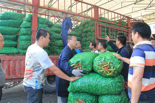 必一运动bsport体育