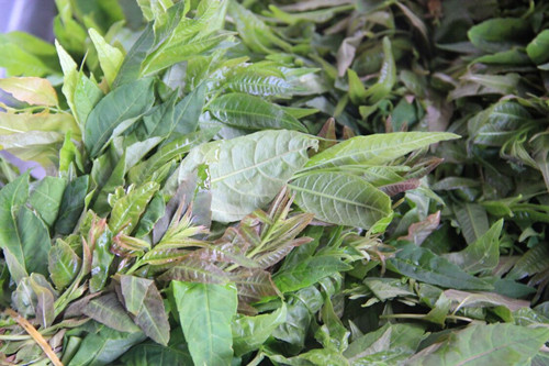 必一运动bsport体育