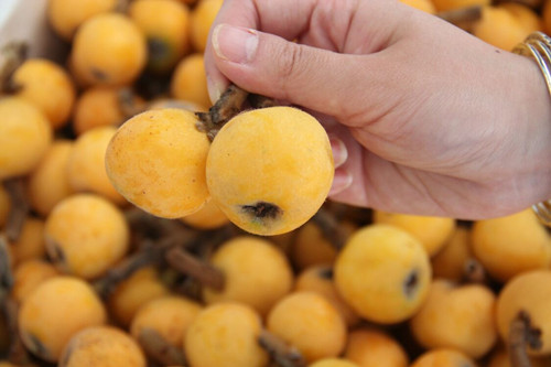 必一运动bsport体育