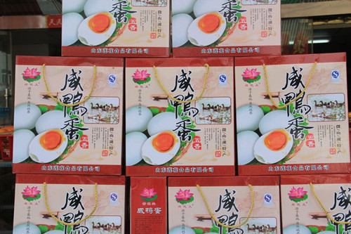 必一运动bsport体育