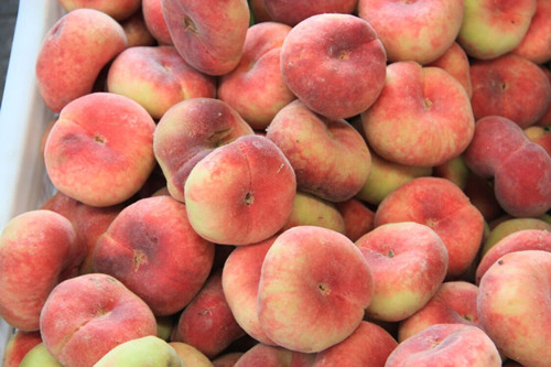 必一运动bsport体育