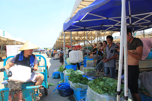 必一运动bsport体育