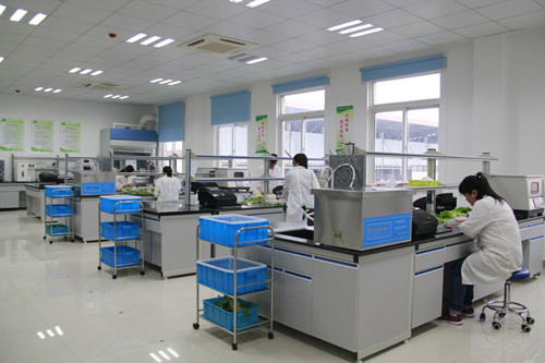 必一运动bsport体育