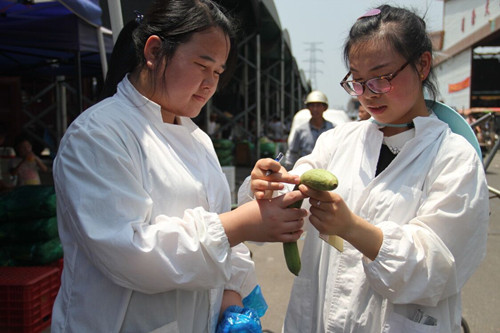 必一运动bsport体育