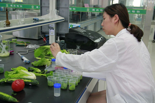 必一运动bsport体育