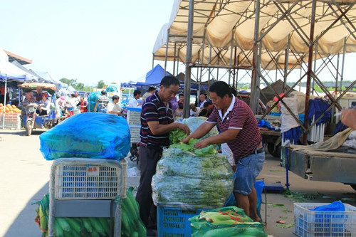 必一运动bsport体育