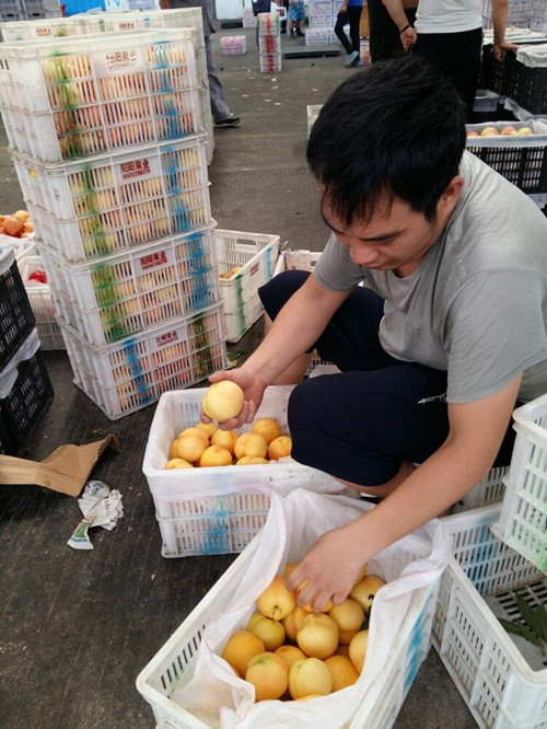 必一运动bsport体育