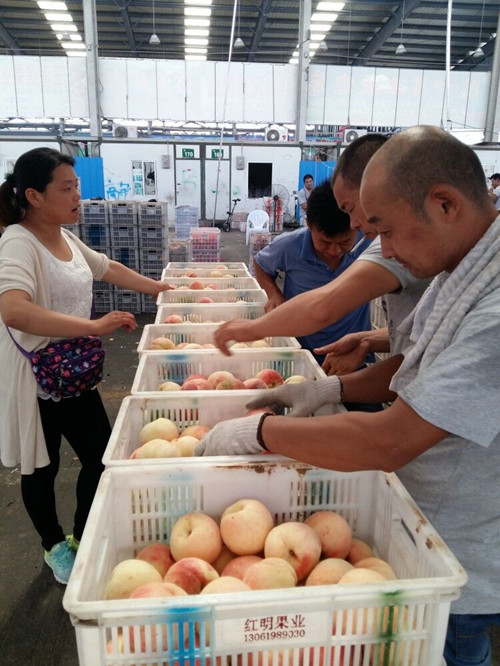 必一运动bsport体育