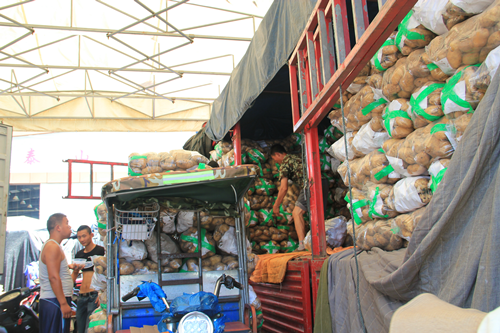 必一运动bsport体育