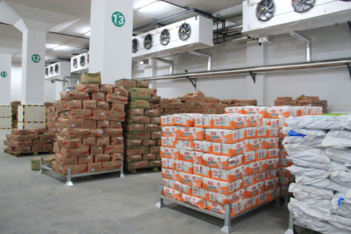 必一运动bsport体育